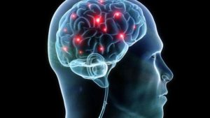 Read more about the article Understanding the neuroscience…