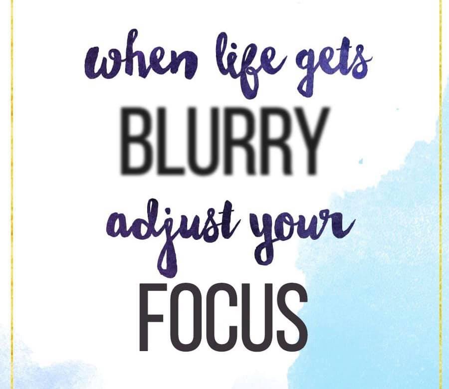 You are currently viewing Focus…