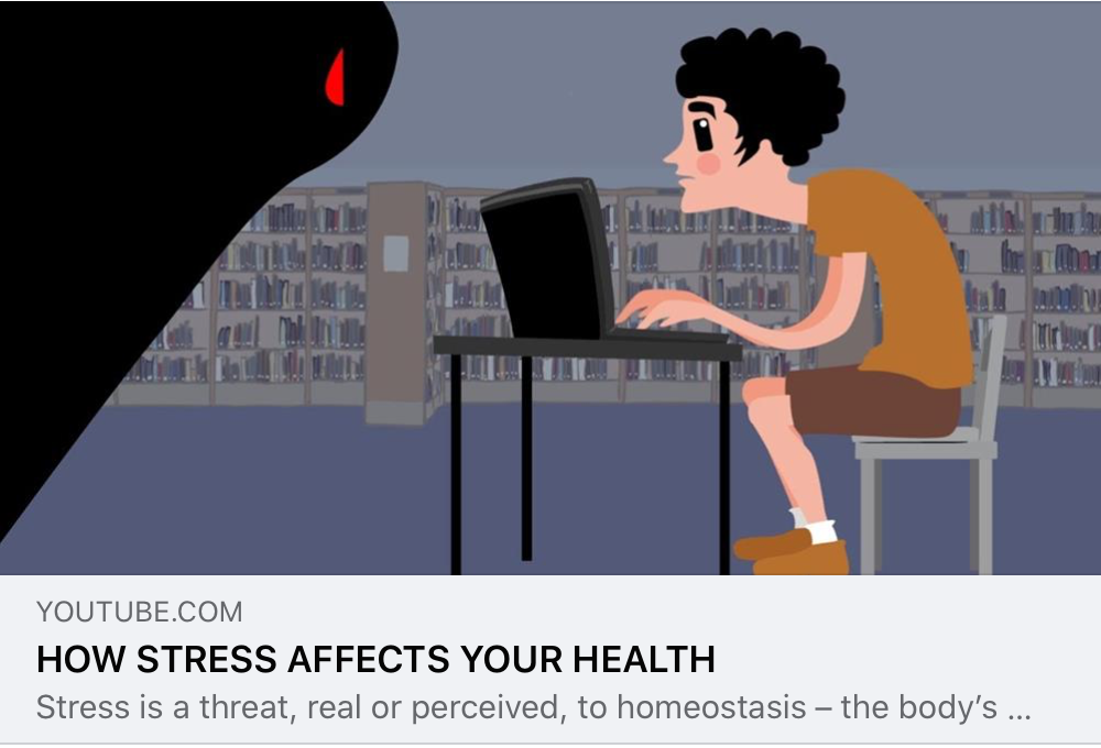 Read more about the article Stress and the damage it can cause…