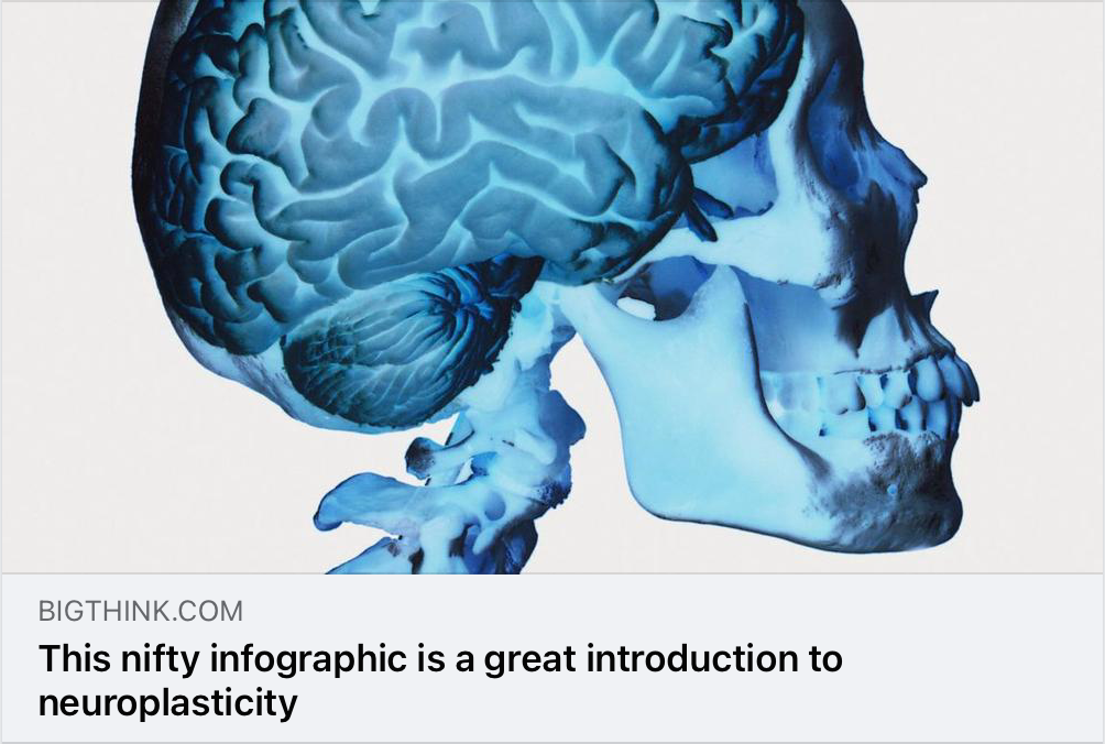 Read more about the article Neuroplasticity…
