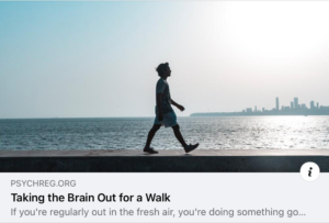 Read more about the article BWRT – Take your brain out for a walk…