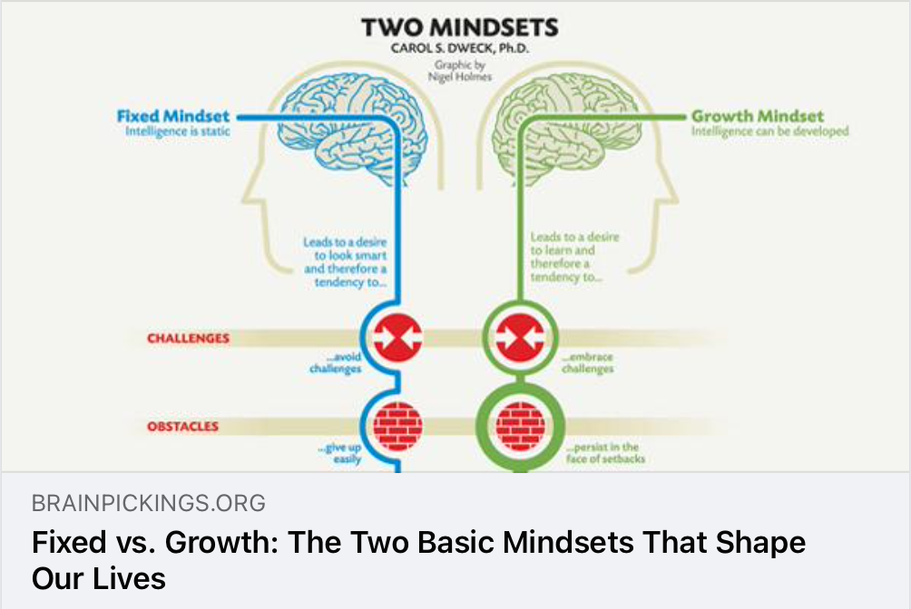 You are currently viewing Mindset – ‘Fixed’ or ‘Growth’?