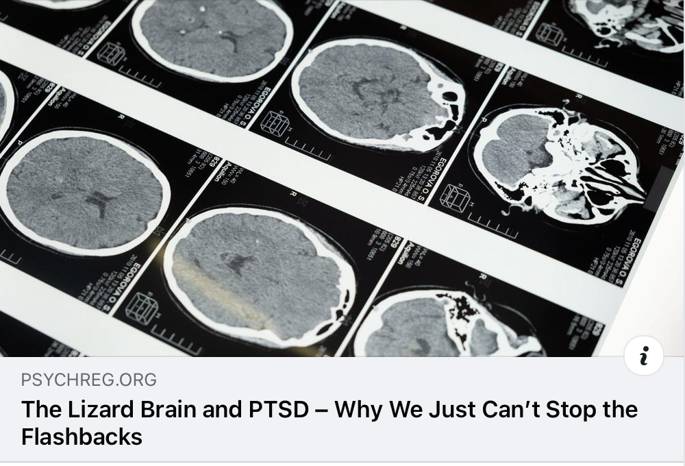 Read more about the article The Lizard Brain & PTSD…