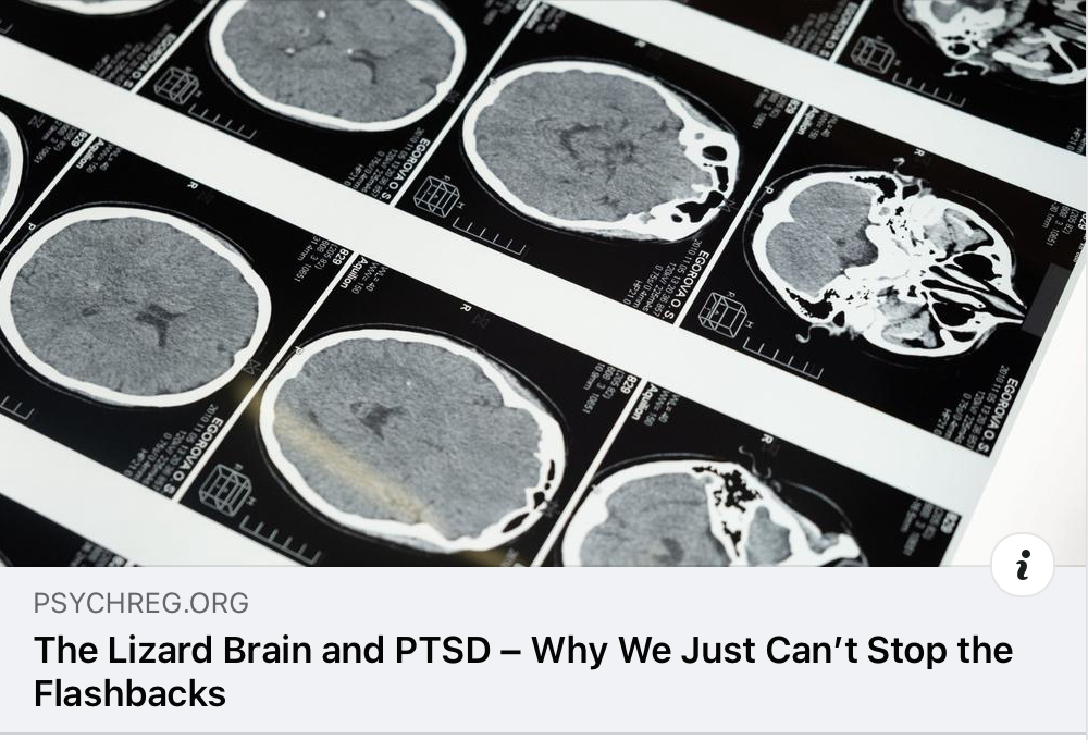 You are currently viewing The Lizard Brain & PTSD…
