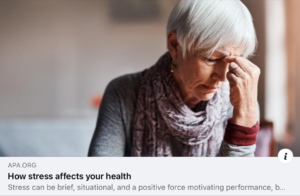 Read more about the article Change your reaction fast with BWRT!