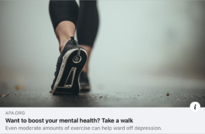Read more about the article Take a walk! The importance of daily physical exercise…