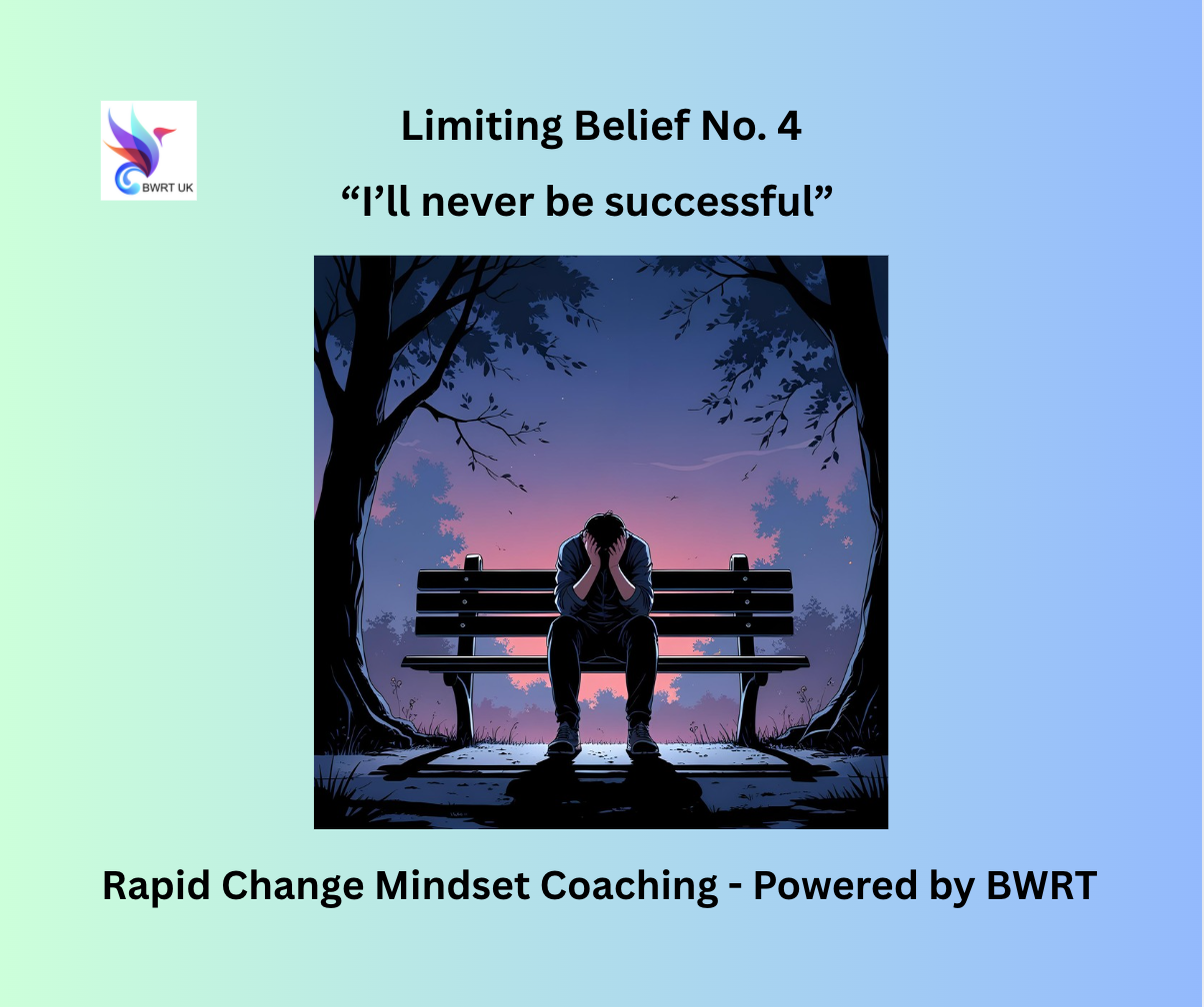 Read more about the article I’ll never be successful