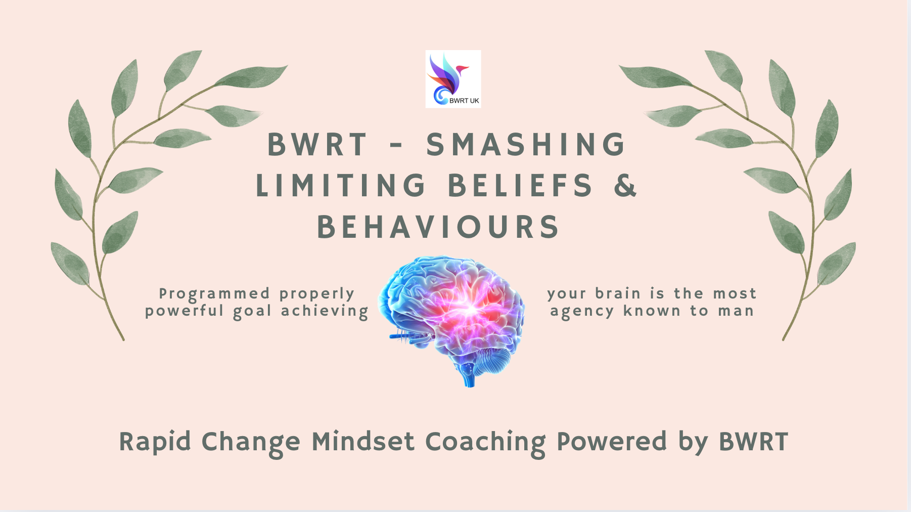 Read more about the article Programmed properly, your brain is the most powerful goal achieving agency known to man!